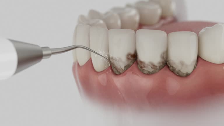 Reliable Dental contractor in Jarrettsville, MD by Dentist Open Now